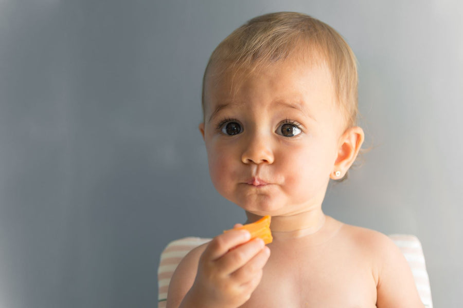 What is Baby Led Weaning and When Do You Start?